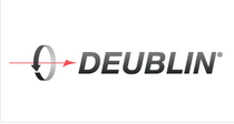 美國deublin